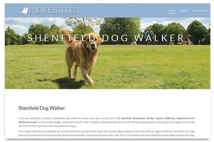 SHENFIELD DOG WALKER